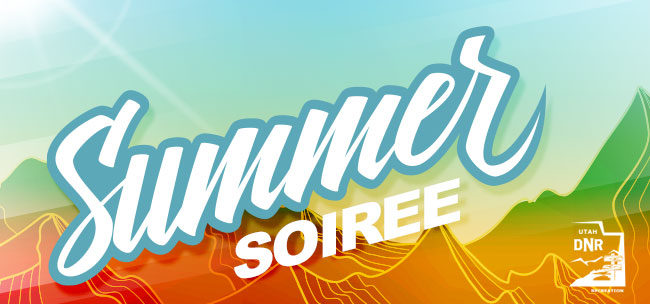 Summer Soiree