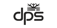 DPS Skis Gray